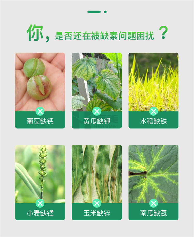 高智能土壤養分檢測儀怎么選？